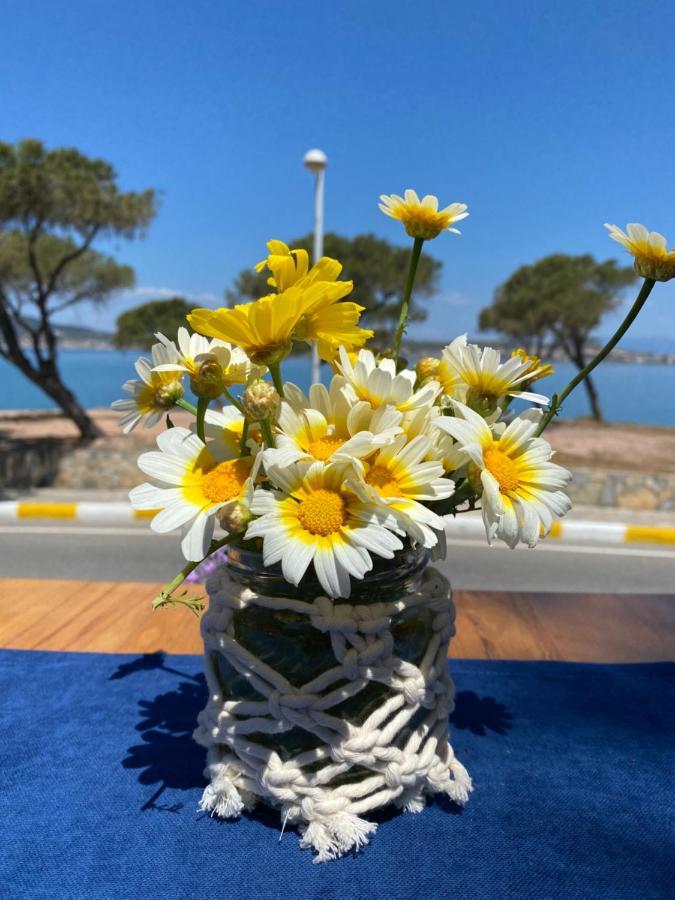 Lacivert Hotel Ayvalı 외부 사진